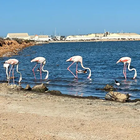 아파트 Bajo El Gallo *