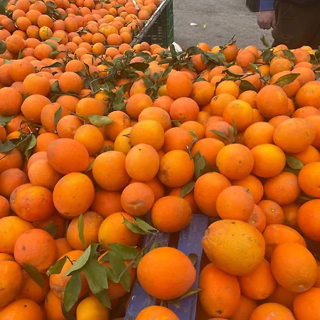 Bajo El Gallo Апартаменты *