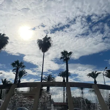 Bajo El Gallo * Торрев'єха