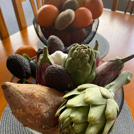 Bajo El Gallo * Торрев'єха