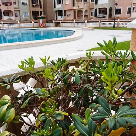 Апартаменти Bajo El Gallo