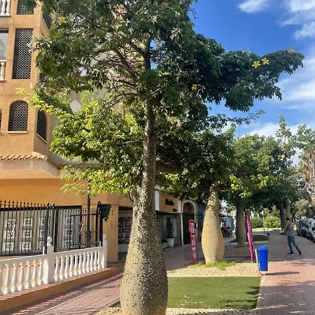 Bajo El Gallo * Торрев'єха