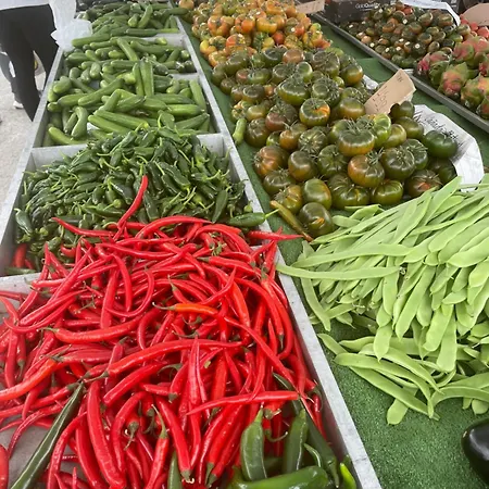 Апартаменти Bajo El Gallo