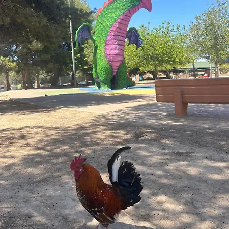 Bajo El Gallo Апартаменти *