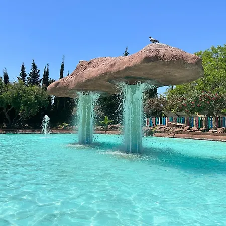 Апартаменти Bajo El Gallo Торрев'єха