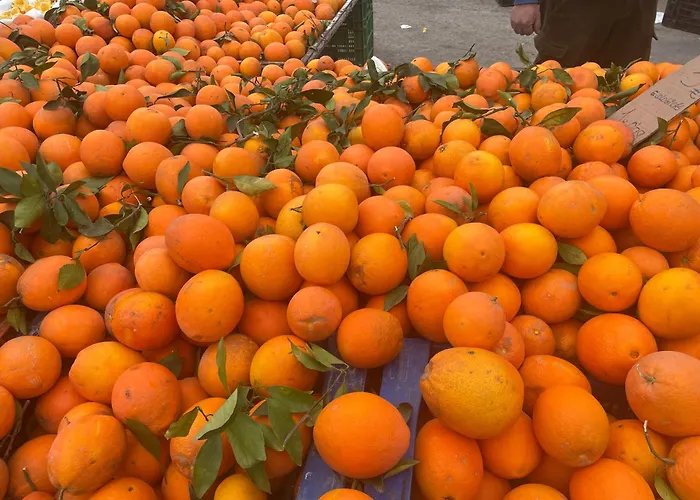 Bajo El Gallo Apartament *