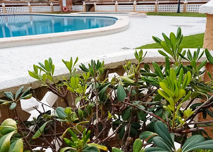 Apartament Bajo El Gallo