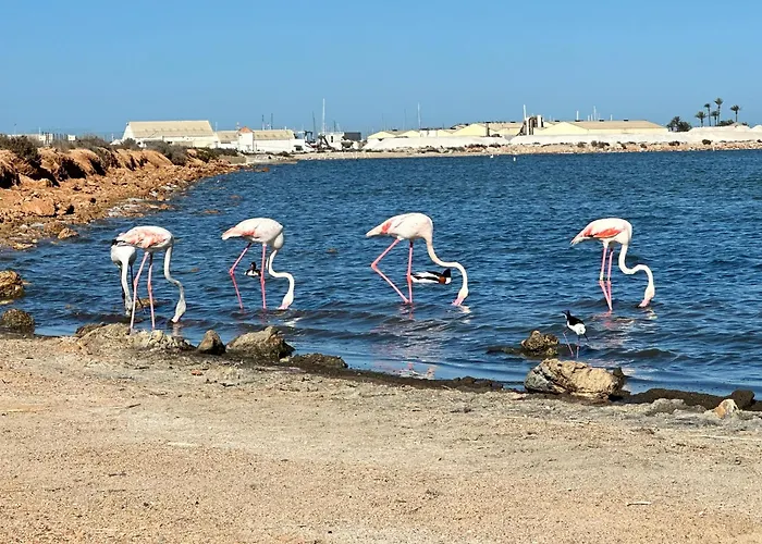 Apartament Bajo El Gallo *