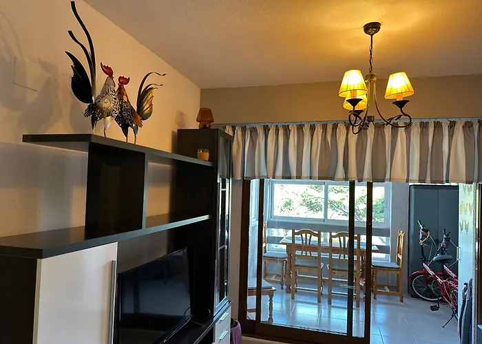 Bajo El Gallo Torrevieja