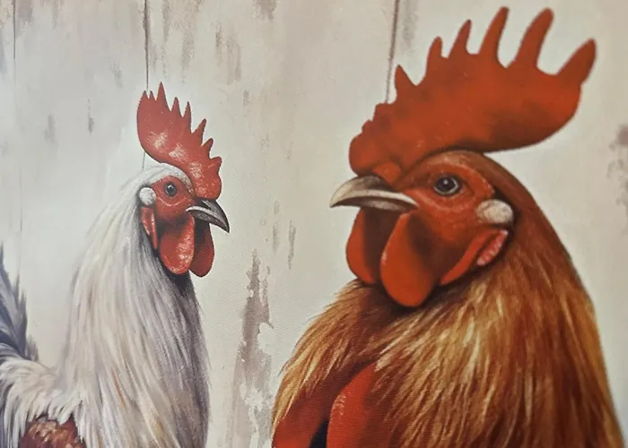 Apartament Bajo El Gallo